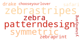 A word cloud containing words like zebraprint and patterns and designs