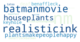 A word cloud containing words like batman and plantlover