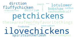 A word cloud containing words like ilovemypetchicken