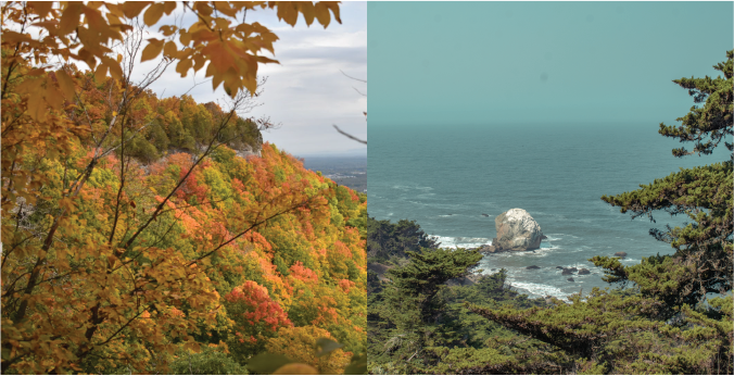 Two photographs of fall trees in the Hudson Valley, and the coast of San Francisco side by side. The photos are arranged so the slopes of the hillsides match, almost making them look like a single landscape