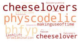 A word cloud containing words like cheeselover and psychedelic