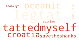 A word cloud containing words like selftat, leg, and savethesharks
