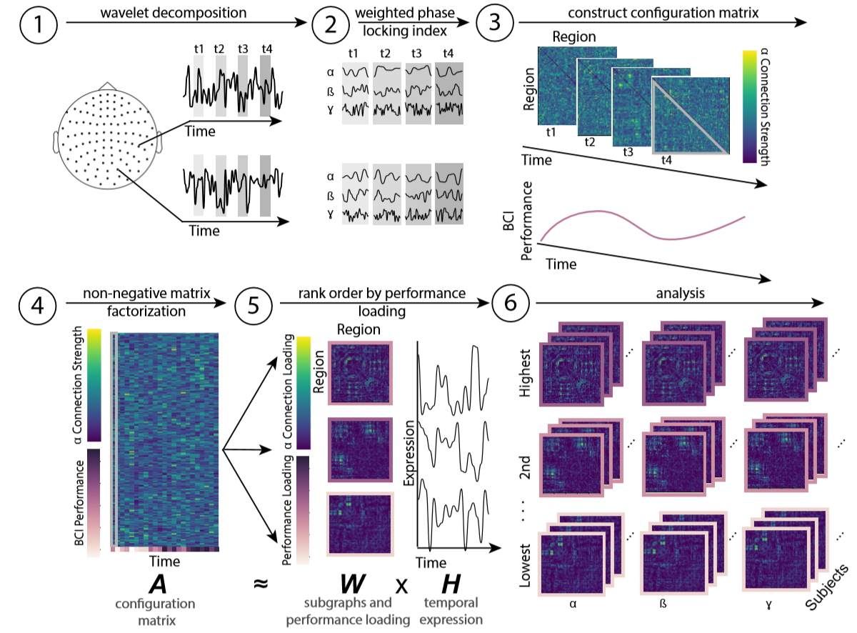 A schematic analysis pipeline. MEG data is segmented into 1s windows, and functional connectivity is calulated in each window. Each window is then pair with its correponding BCI performance measure. Non-negative matrix factorization is then used to decompose bothe brain connectivity and behavior into subgraphs with temporal expression. The method also gives each subgraph a quantitative association with behavior called the performance loading.