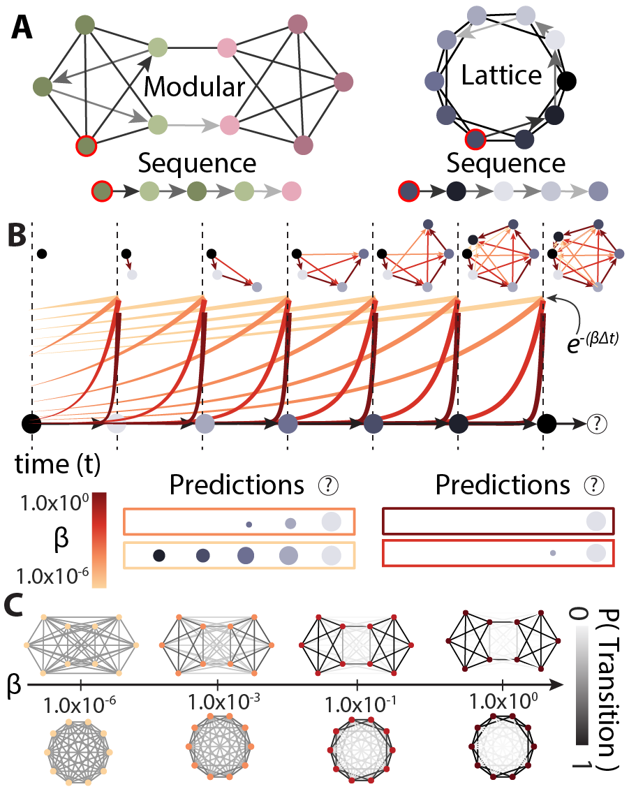 A schematic of a model of sequence learning. Sequences can be generated from a latent space of items, and potential transitions between them. For people experiencing these sequences, a reconstruction of the original latent space can help make predictions about which items come next. The structure of these reconstructing varies based on how much temporal discounting is employed when learning the sequence.